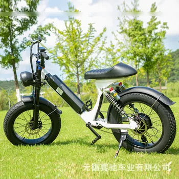 48V1000W 20-дюймовый велосипед Fat Tire Power Snow Mountain Bike