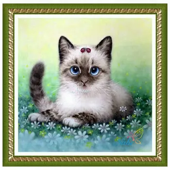 Квадратная алмазная мозаика картина алмазная вышивка крестиком Кошка - 3d поделки из бисера картинки иконки распродажа 2187R
